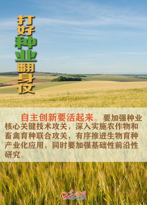 圖說(shuō) 打好種業(yè)翻身仗,看農(nóng)業(yè)農(nóng)村部怎么說(shuō)