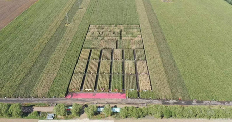 中農(nóng)發(fā)種業(yè)